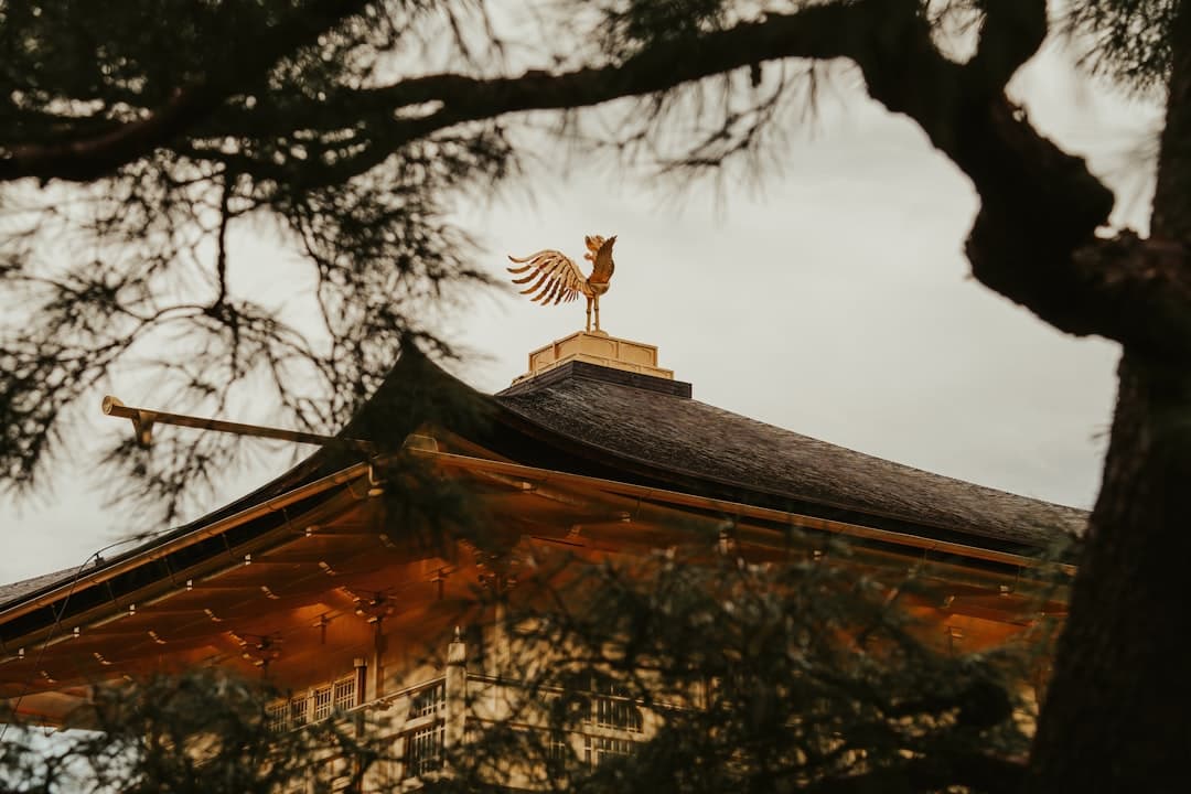 a bird on top of a roof with lights - Photo by Pourya Gohari on Unsplash