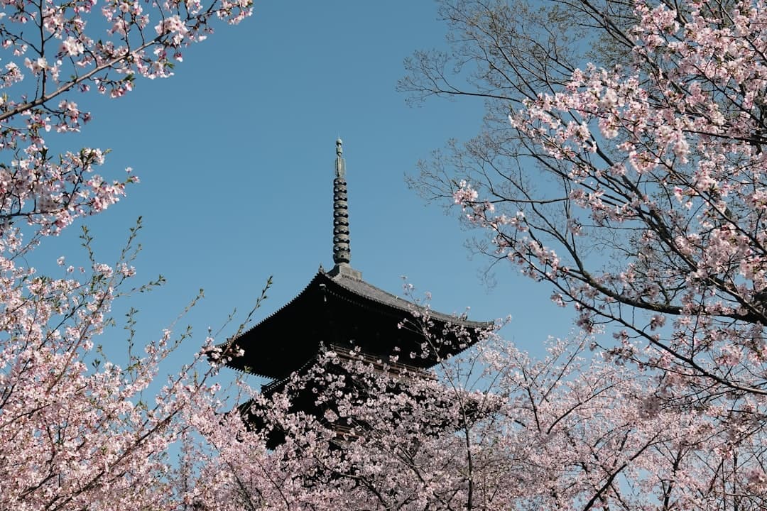 Philosopher's Path & Cultural Immersion