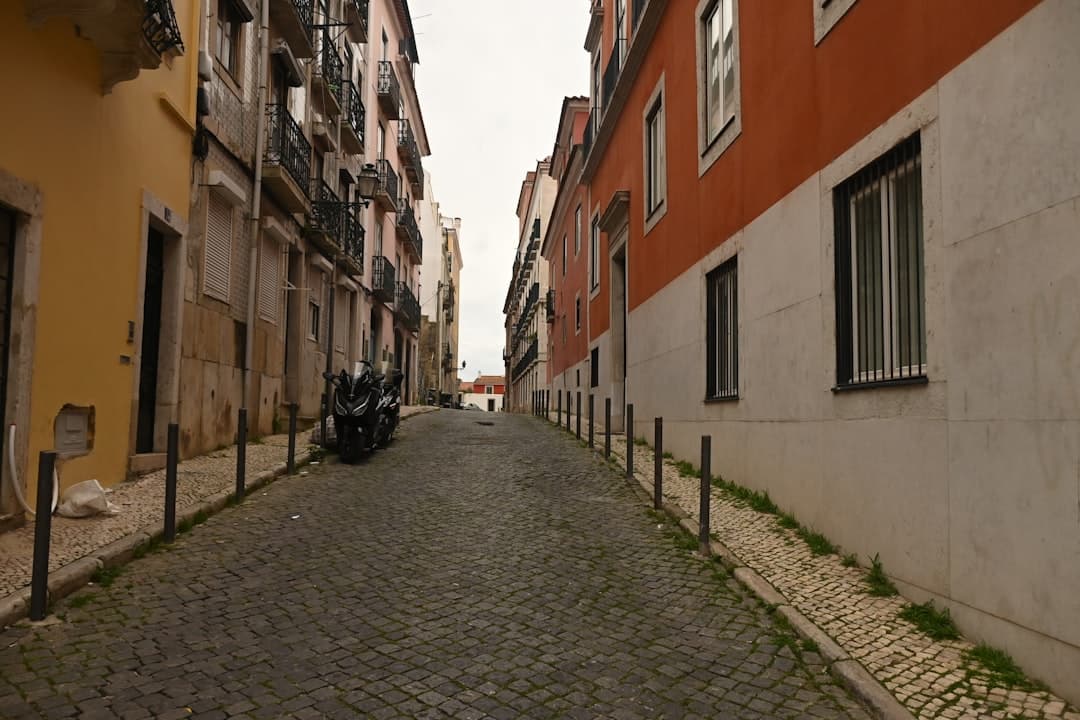 Historic Heart and Alfama Discovery