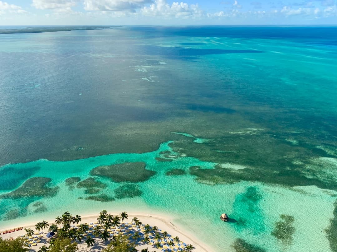 shoreline and body of water during daytime - Photo by Fernando Jorge on Unsplash