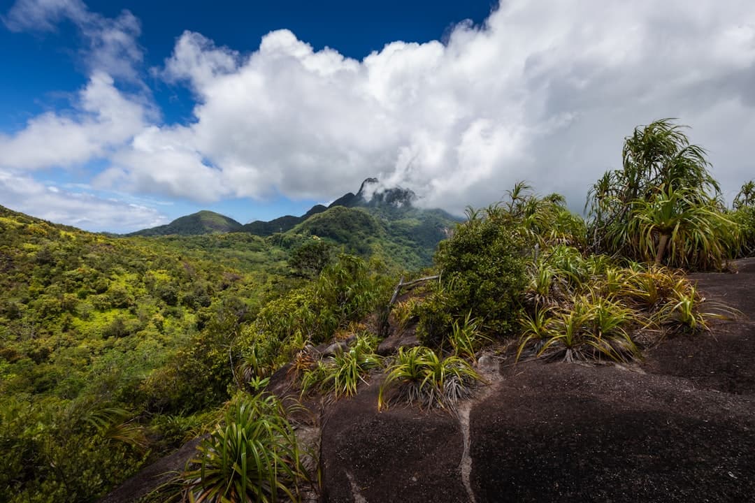 A volcanic mountain landscape with lush green vegetation, dark volcanic soil in the foreground, and tropical plants, with the mountain peak partially obscured by clouds. - Photo by Luca Cavallin on Unsplash
