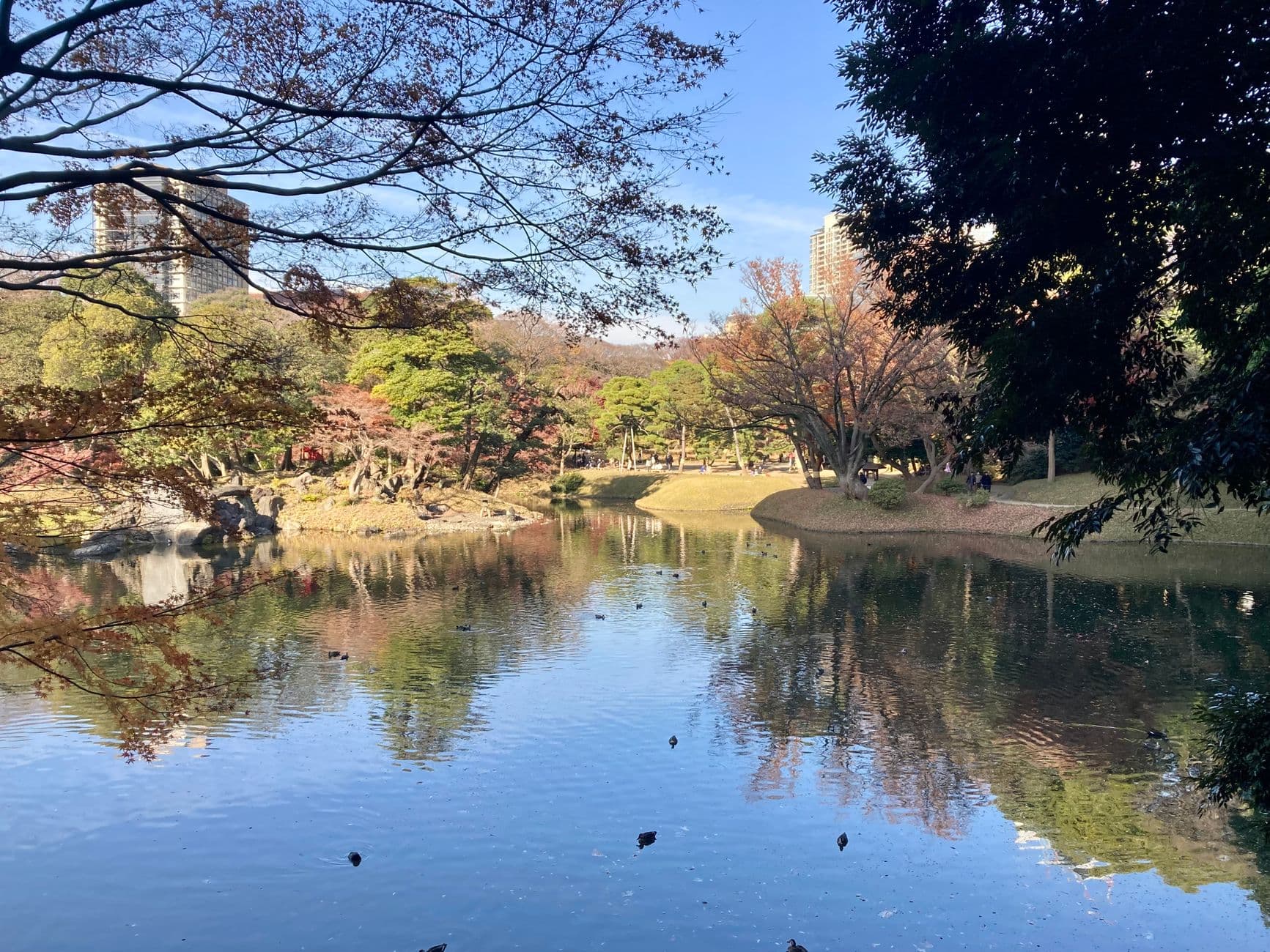 A serene park pond with autumn foliage, traditional Japanese landscaping, walking paths, and modern residential buildings visible in the background—a scene consistent with central Tokyo's urban parks. - Photo by Tatsuo Nakamura on Pexels