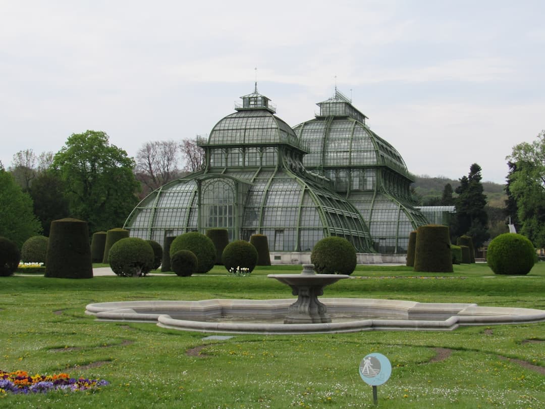 Vienna travel - Photo by Amir Alsharif on Unsplash