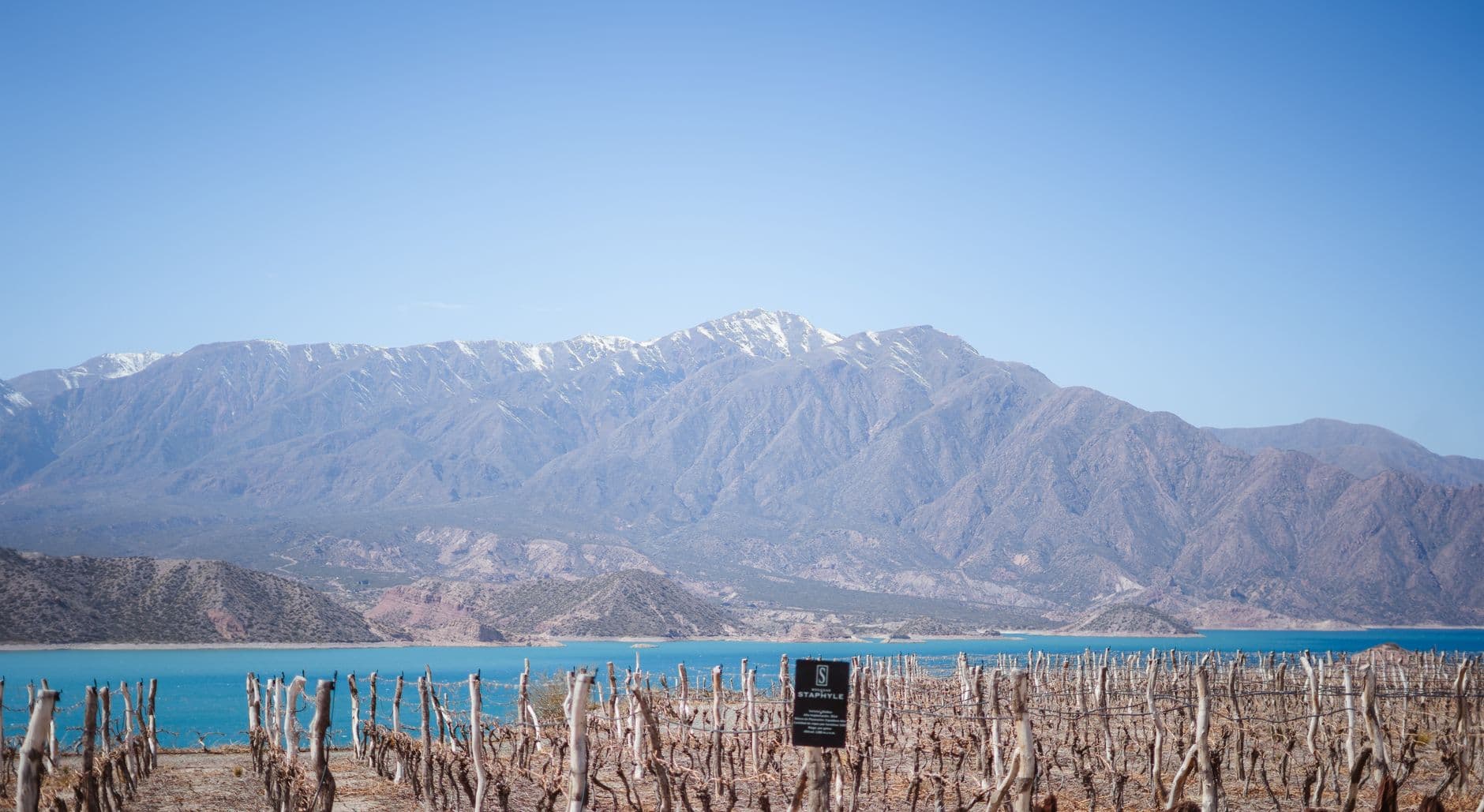 A high-altitude vineyard overlooks a brilliant turquoise reservoir with snow-capped Andean peaks rising dramatically in the background, characteristic of the Uco Valley wine region. - Photo by Andres Alaniz on Pexels