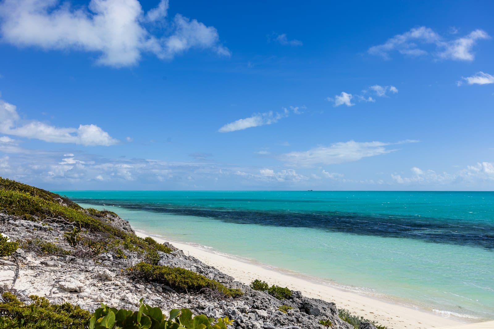 A pristine Caribbean beach with white sand, turquoise shallow waters, visible coral reef structure, and limestone bluffs covered in coastal vegetation under clear blue sky. - Photo by Rosemary Media on Unsplash