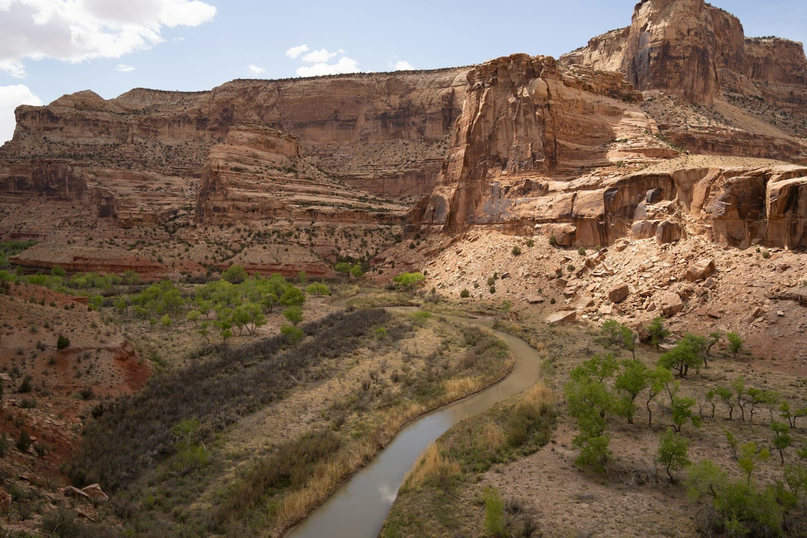 A wide canyon landscape featuring a meandering river cutting through red and tan sandstone formations with dramatic cliff faces and isolated vegetation typical of Utah's San Rafael Swell. - Photo by Alex Moliski on Unsplash