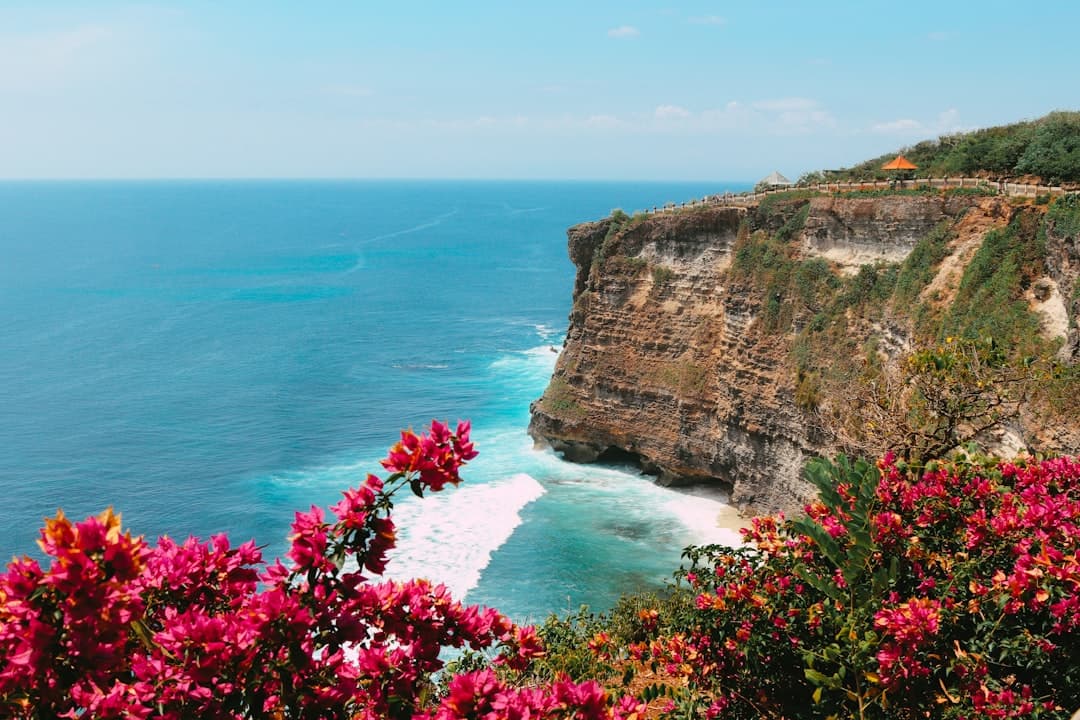 A scenic clifftop viewpoint overlooking a dramatic coastal cove with turquoise waters, framed by vibrant magenta bougainvillea flowers in the foreground, with limestone cliffs and a small beach visible below. - Photo by Jared Schwitzke on Unsplash