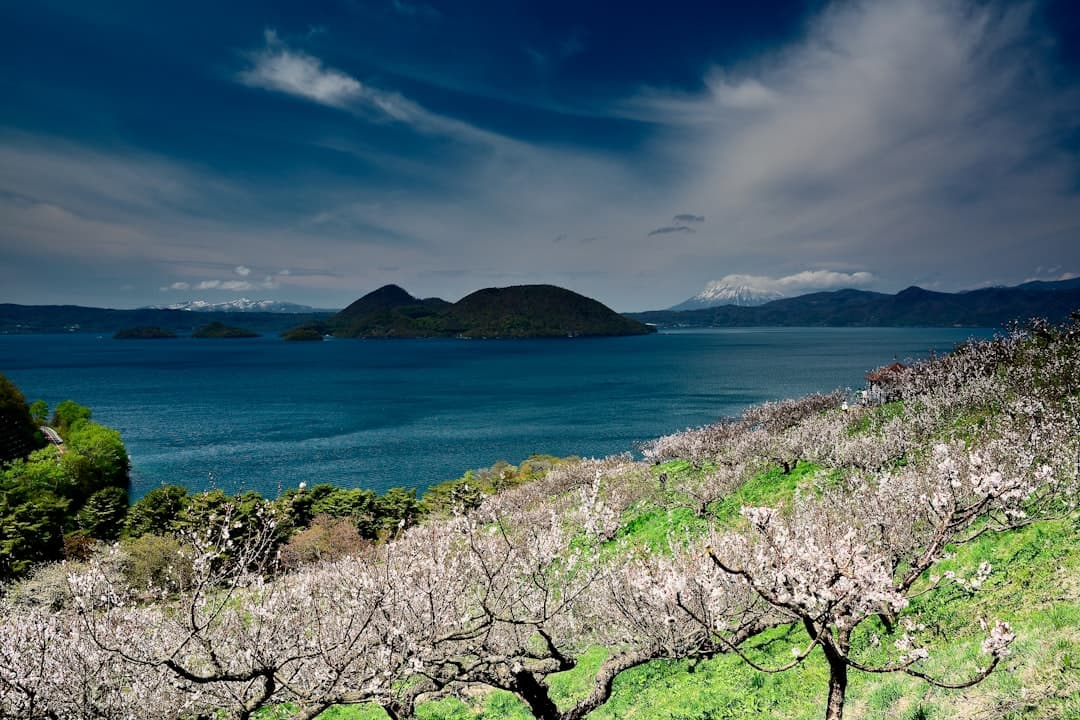 A scenic spring landscape showing white-blossoming trees on a grassy hillside overlooking a blue lake with forested islands and a snow-capped mountain visible in the distance. - Photo by Freezer on Unsplash
