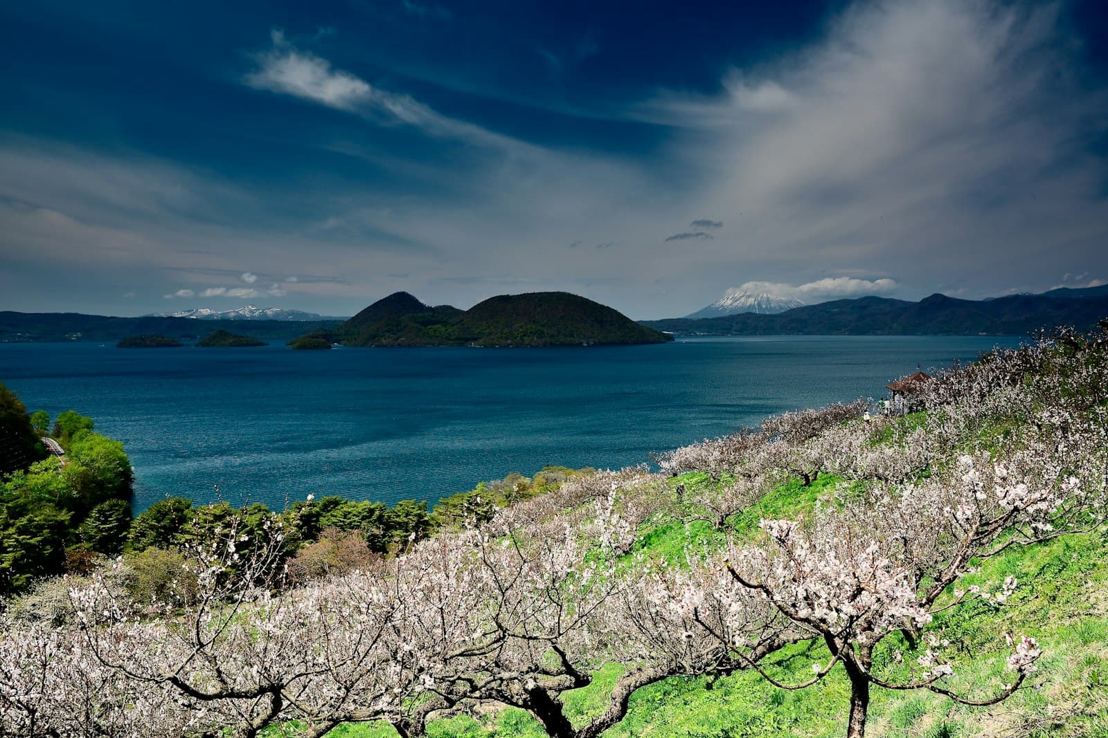 A scenic lakeside vista showing blooming cherry trees in the foreground overlooking turquoise Lake Toya with forested islands, with snow-capped Mount Yotei visible in the distance. - Photo by Freezer on Unsplash