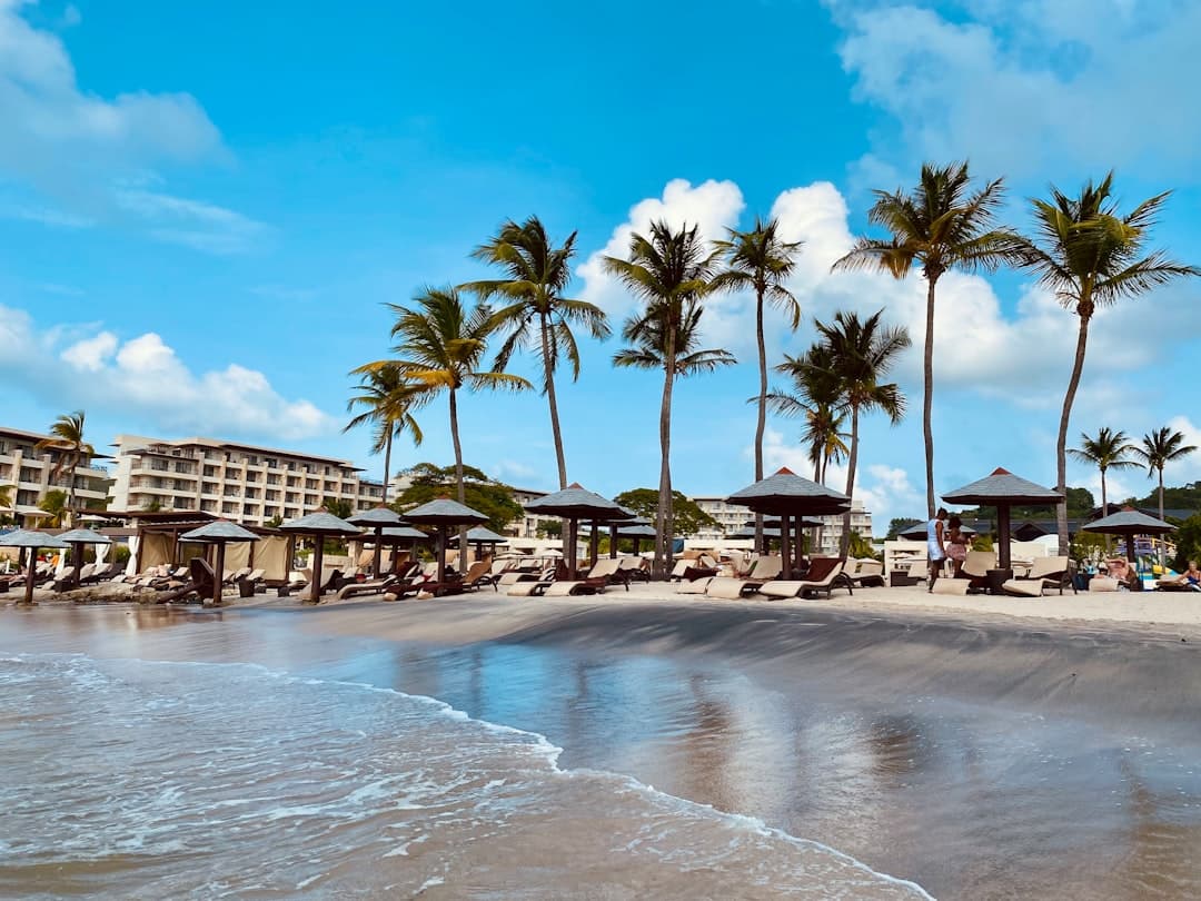 A tropical beach resort with palm trees, beach cabanas, and multi-story hotel buildings under clear blue skies. - Photo by Sara Nichols on Unsplash