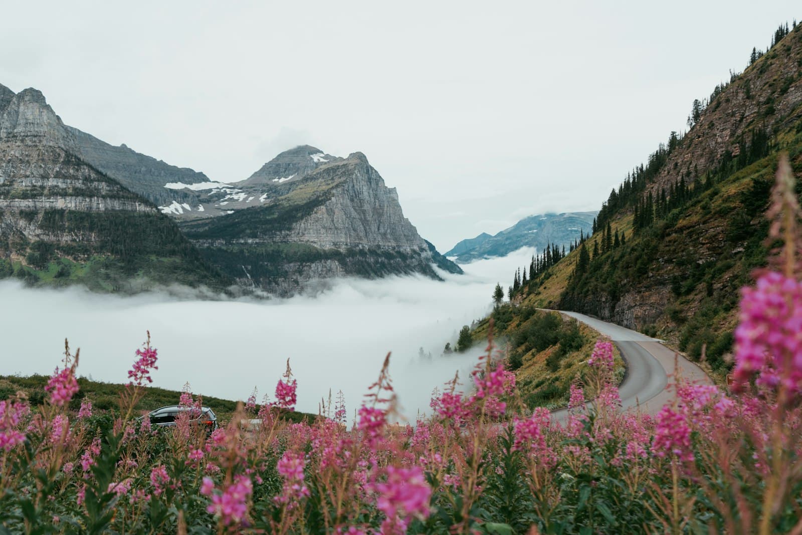 A mountain road winds through an alpine meadow filled with pink wildflowers, overlooking a glacial valley shrouded in fog, with dramatic stratified limestone peaks rising on either side. - Photo by Tevin Trinh on Unsplash