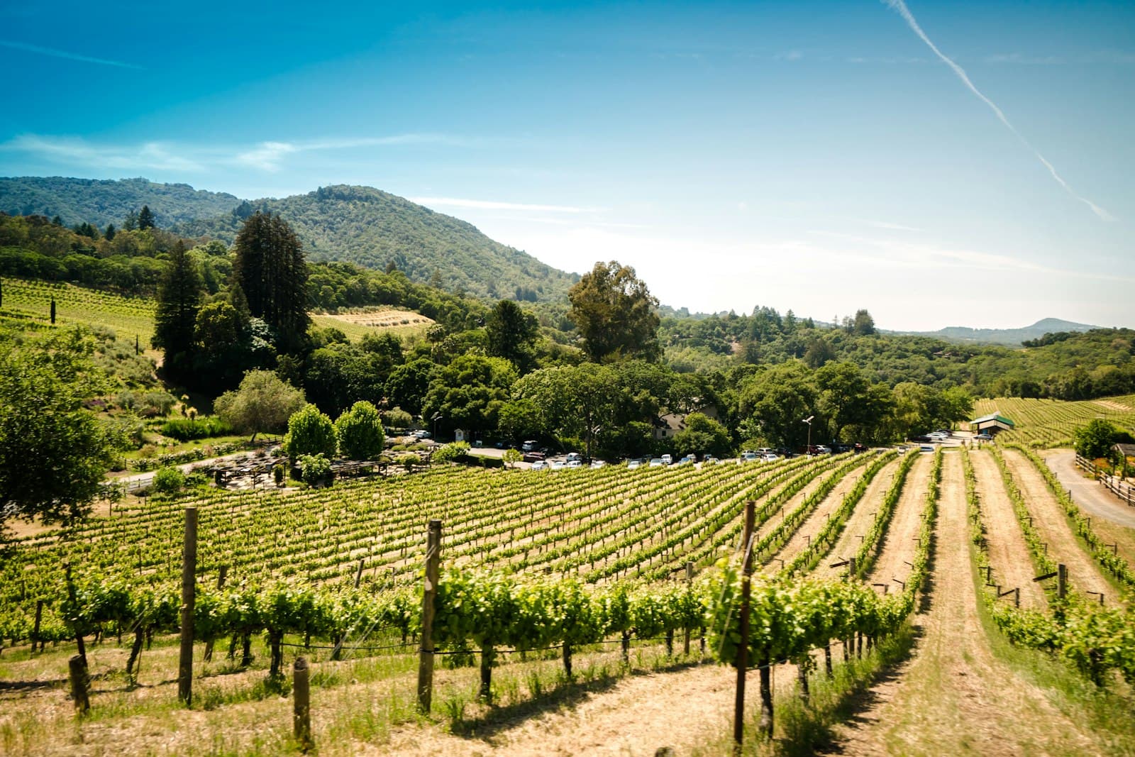 Expansive vineyard landscape with manicured rows of grapevines in the foreground, wooded hills in the background, and a winery or residential structure nestled among trees in the middle distance under clear blue sky. - Photo by Trent Erwin on Unsplash