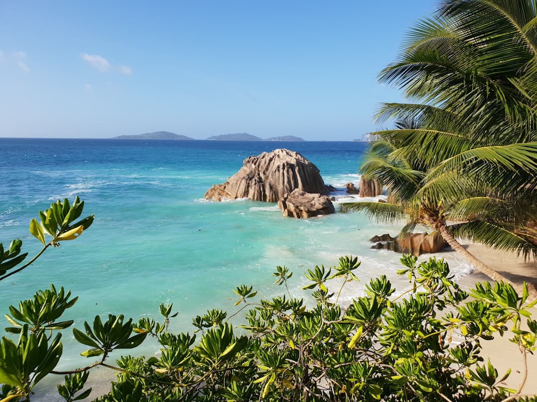 A pristine tropical beach with distinctive rounded granite boulders rising from turquoise shallow waters, framed by coconut palms and tropical vegetation, with distant islands visible on the horizon. - Photo by Christian Cacciamani on Unsplash