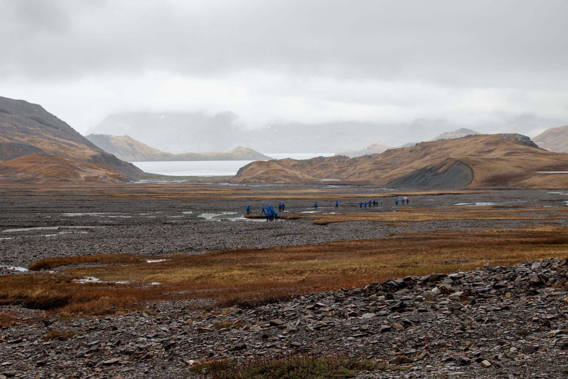 A group of hikers in blue jackets traverse a barren, glaciated subarctic valley with tundra vegetation, glacial streams, and snow-capped mountains flanking a fjord beneath overcast skies. - Photo by ArcticDesire.com Polarreisen on Pexels