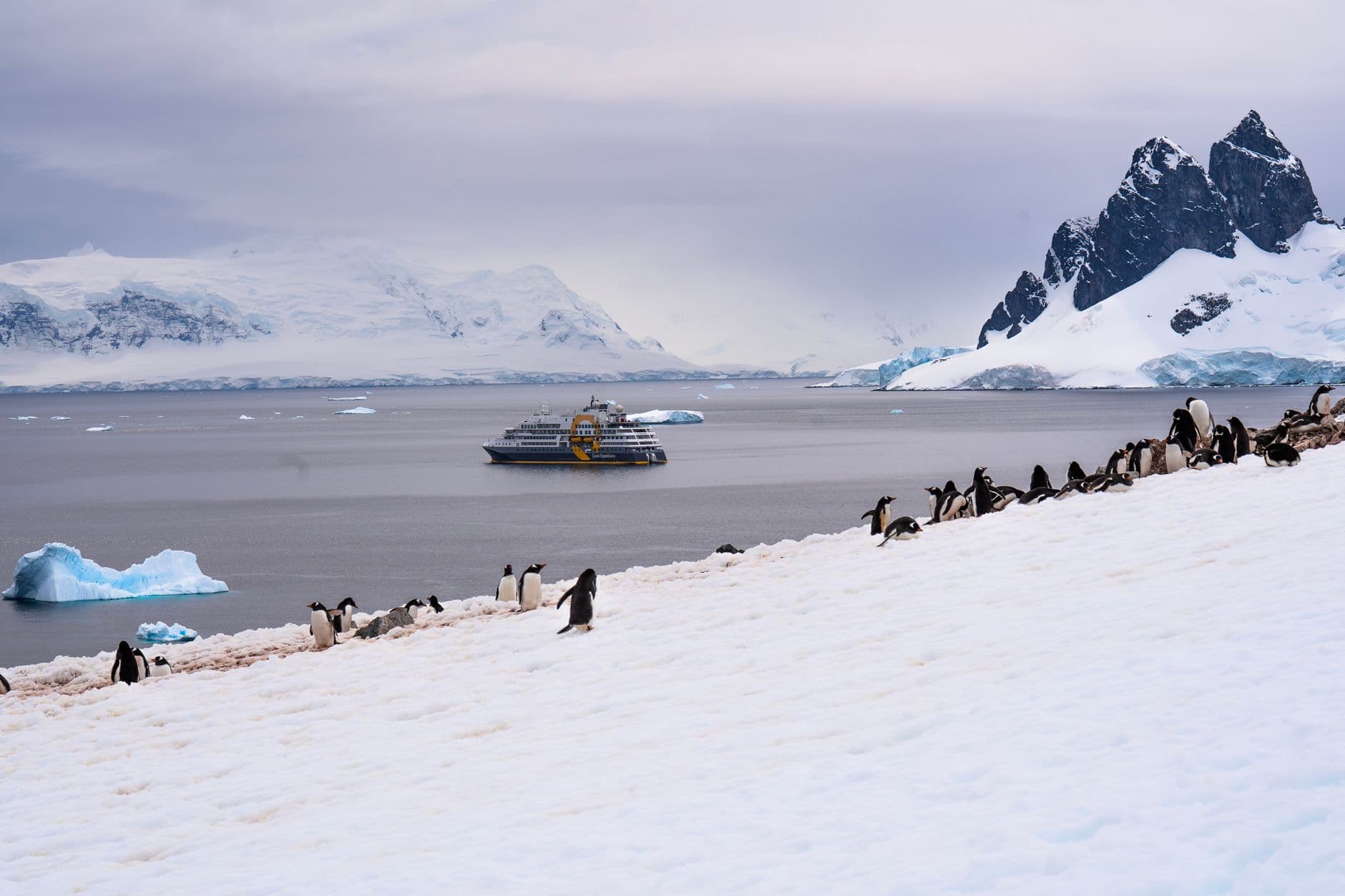 An expedition cruise ship anchors in Marguerite Bay while Adélie penguins gather on a snow-covered beach beneath distinctive rocky peaks, with glaciers and icebergs visible across the bay. - Photo by Jan Tang on Pexels