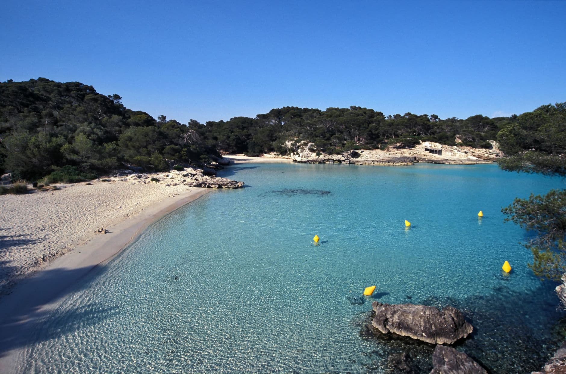 A pristine Mediterranean cove with turquoise shallow water, sandy beach, white limestone cliffs, pine forest vegetation, and yellow mooring buoys, characteristic of Menorca's quieter beaches. - Photo by mysurrogateband on Pexels
