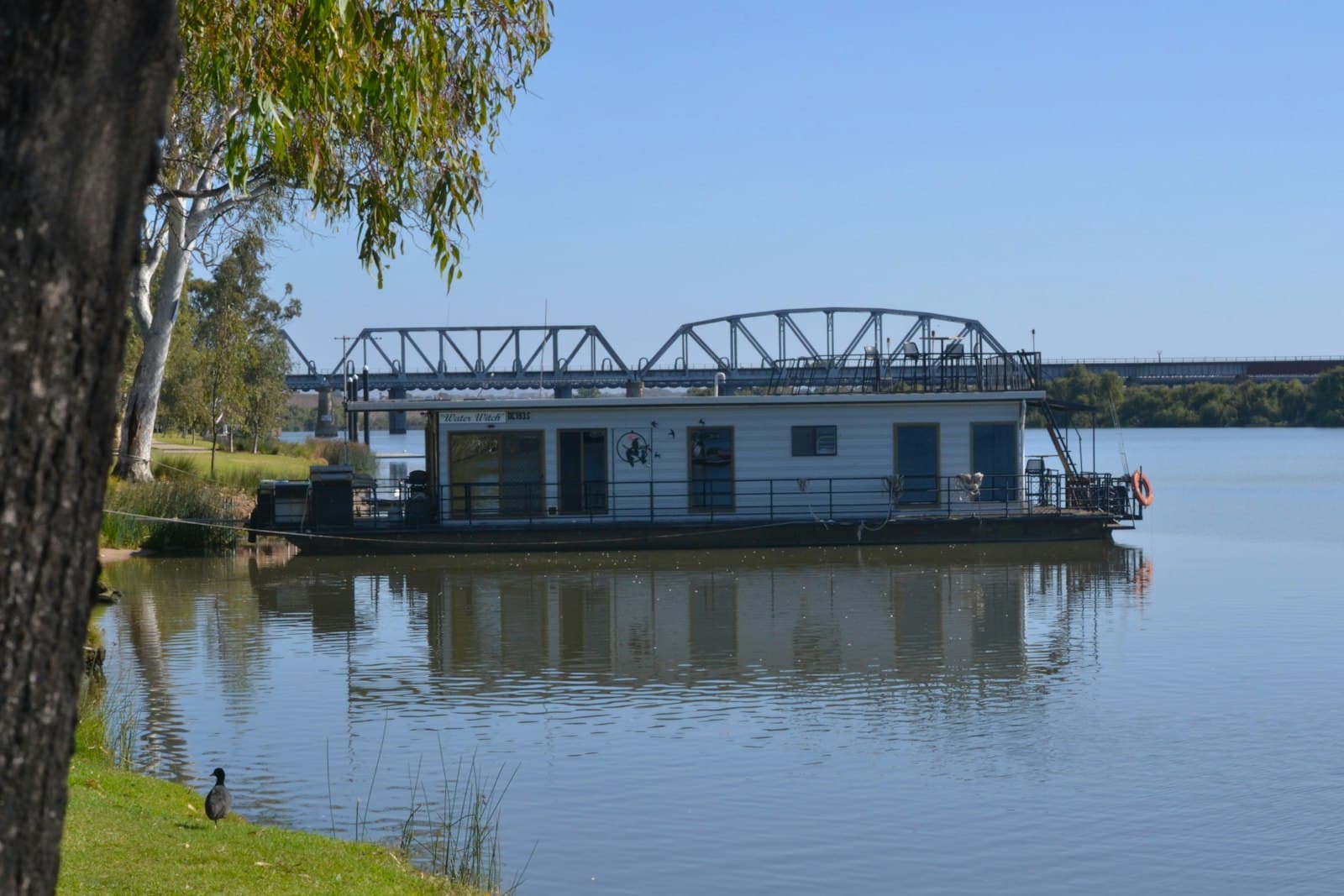 A moored houseboat or river cruiser with blue-white hull and cabin on a calm inland river, with an iron truss bridge visible in the background and eucalyptus trees framing the left bank. - Photo by Michael Obeysekera on Unsplash
