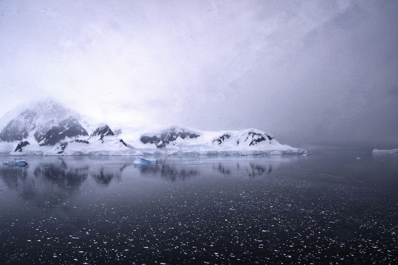 A snow-covered mountainous coastline with glaciers and icebergs viewed across calm, ice-filled water under overcast polar skies. - Photo by DD Wido on Unsplash
