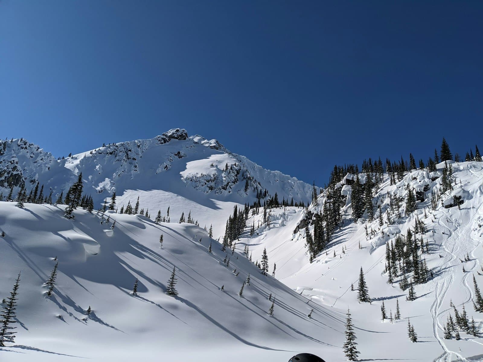 Snow-covered alpine and subalpine slopes with scattered coniferous trees, showing ski tracks and avalanche paths beneath a prominent snow-laden peak under clear blue sky. - Photo by George Moore on Unsplash