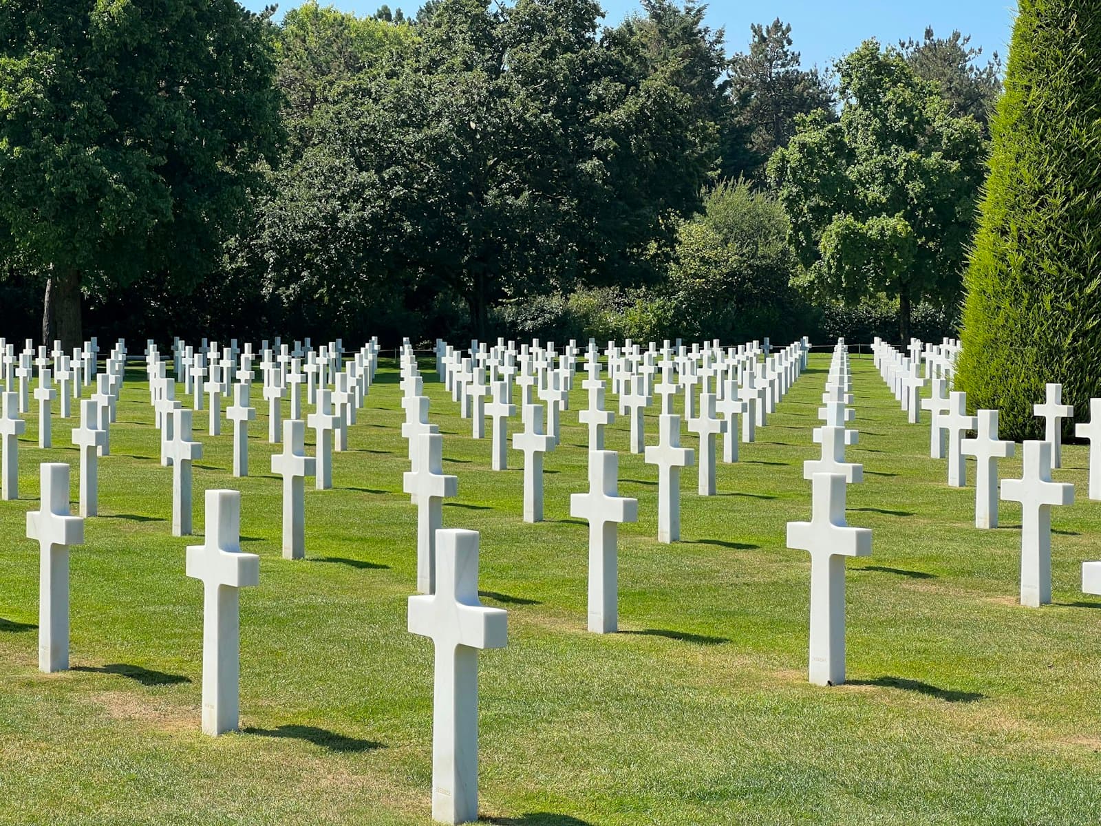 A vast military cemetery with hundreds of identical white crosses arranged in perfect rows across a meticulously maintained lawn, backed by dense green trees including distinctive Italian cypress, representing fallen soldiers from World War II. - Photo by Datingjungle on Unsplash