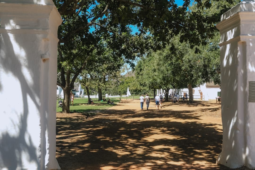 A tree-lined courtyard or green space between white-walled colonial buildings with visitors walking through dappled shade, featuring the characteristic architecture and landscaping of Stellenbosch's historic district. - Photo by Omar on Unsplash