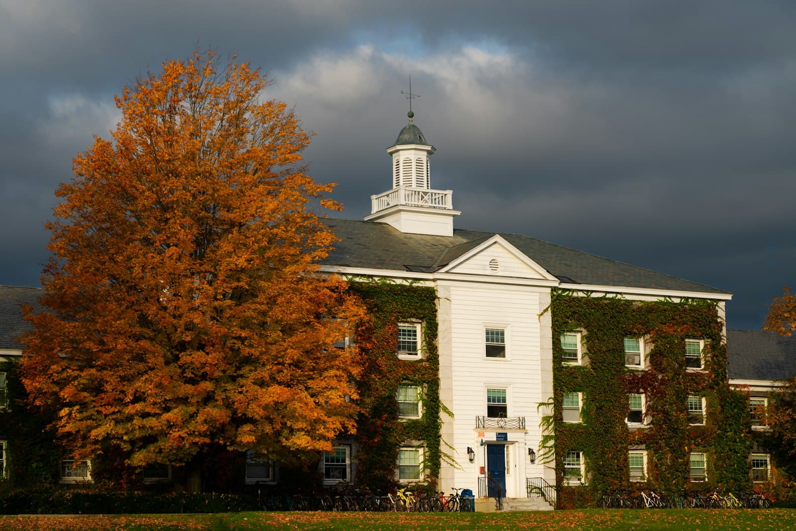 A white Federal-style institutional building with a cupola and weathervane, framed by a brilliant orange autumn tree, with ivy-covered wings and bicycles parked outside. - Photo by Austin on Unsplash