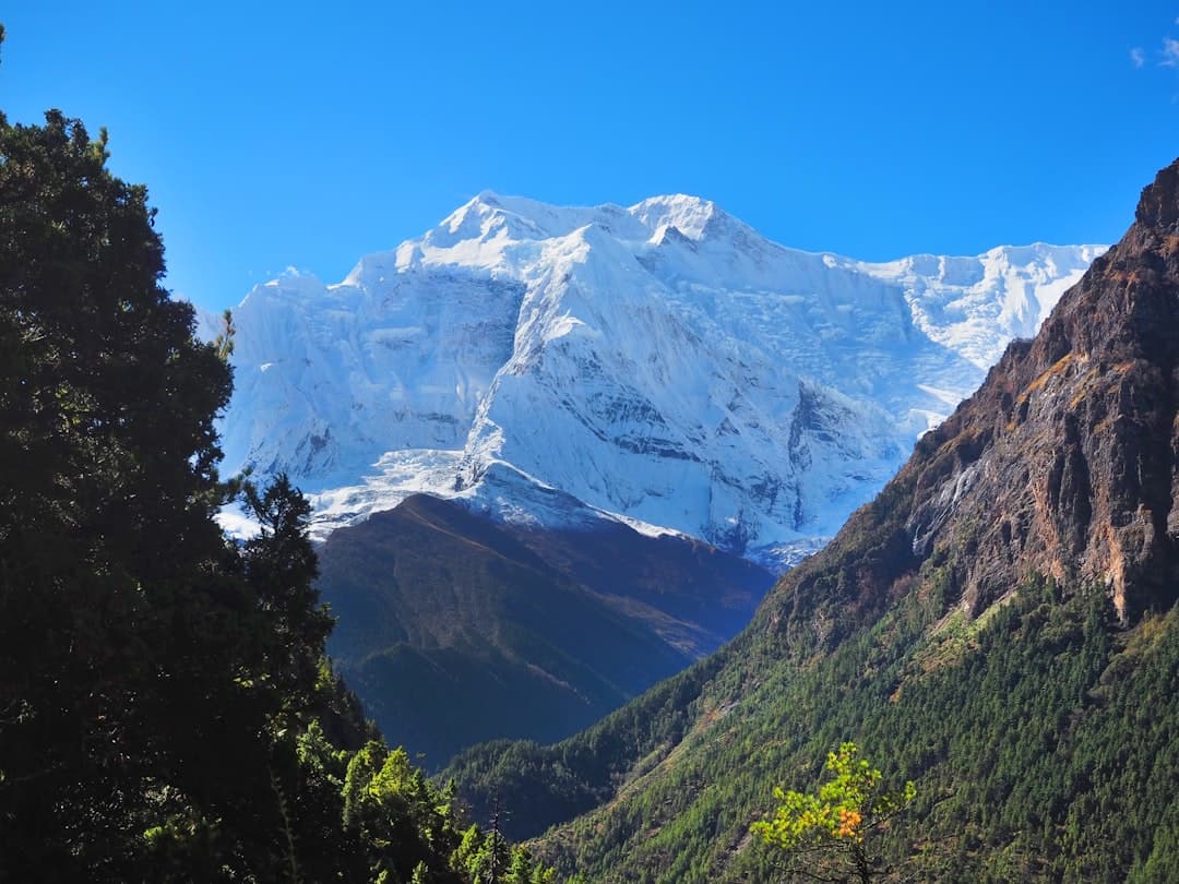 A snow-capped mountain peak viewed from a forested valley with steep rocky canyon walls on either side, showing the characteristic landscape of the Himalayan region. - Photo by Irina Shishkina on Unsplash