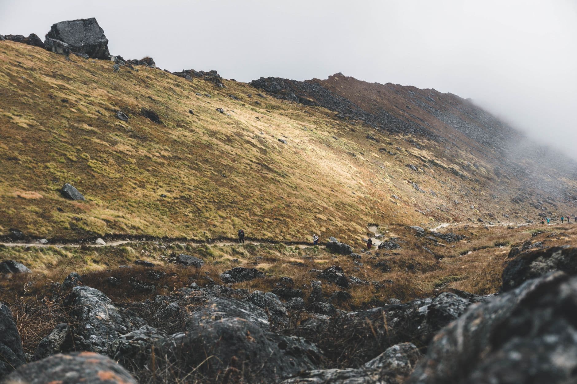 A high-altitude Himalayan alpine meadow with exposed bedrock, sparse moss-covered vegetation, and misty peaks receding into cloud cover, with small groups of trekkers visible in the middle distance. - Photo by Jürgen Knappitsch on Pexels