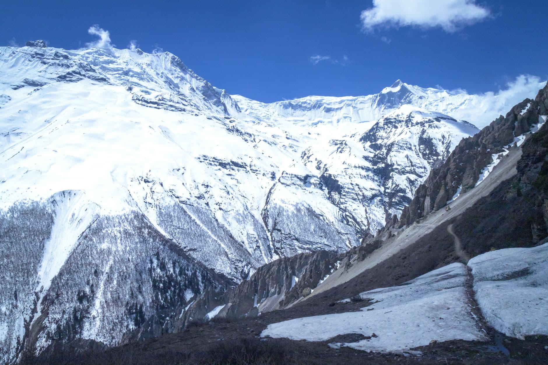 A high-altitude Himalayan valley view showing snow-capped peaks of the Annapurna massif, coniferous forests on lower slopes, and glacial terrain with patches of remaining snow in the foreground. - Photo by Ashok J Kshetri on Pexels