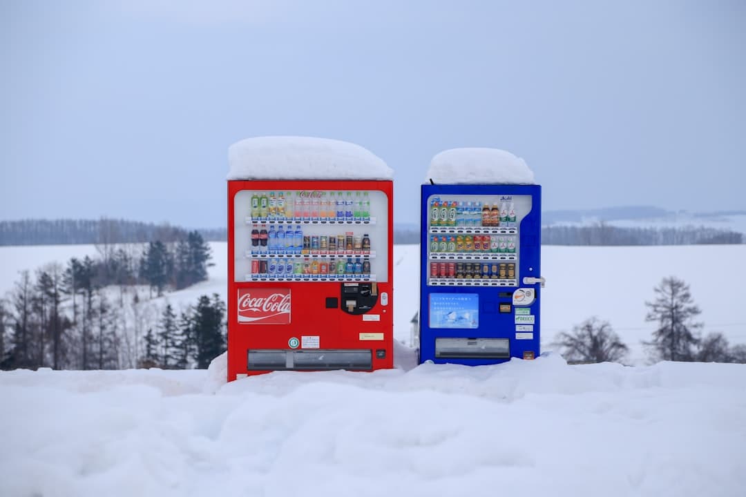 Two snow-covered vending machines (one red Coca-Cola branded, one blue) stand in a snowy field with a frozen lake and forested shoreline visible in the background under a gray winter sky. - Photo by Steven Su on Unsplash