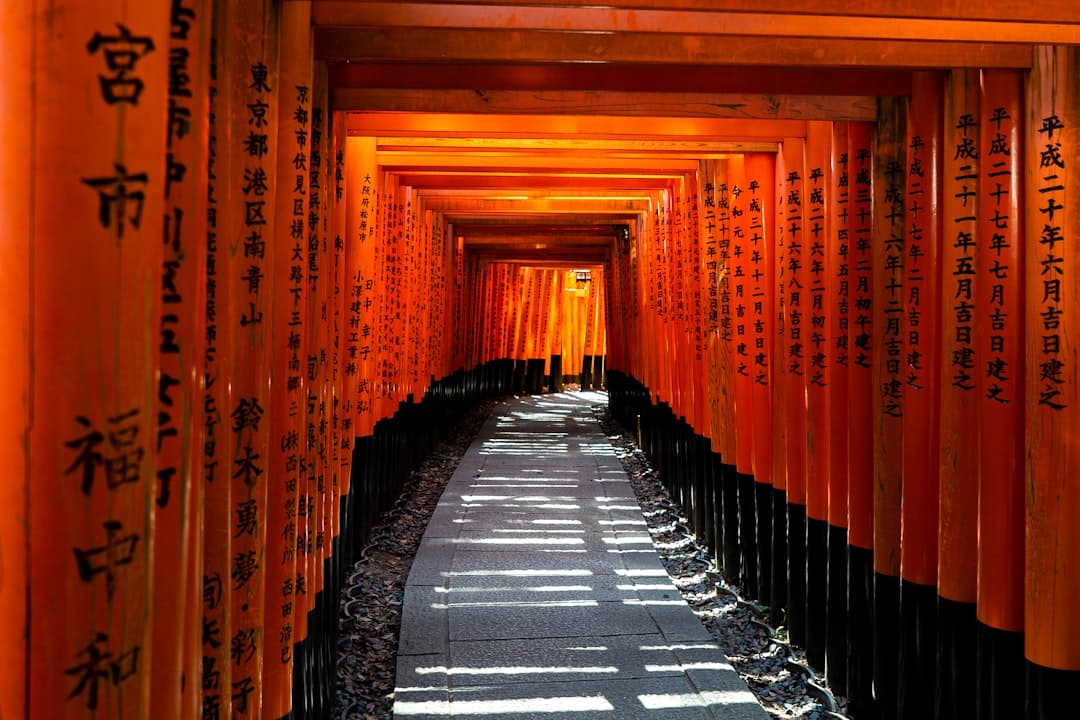 A tunnel of hundreds of vermillion torii gates inscribed with Japanese characters and dates, lit by natural daylight, at what appears to be Fushimi Inari Taisha shrine in Kyoto. - Photo by David Emrich on Unsplash