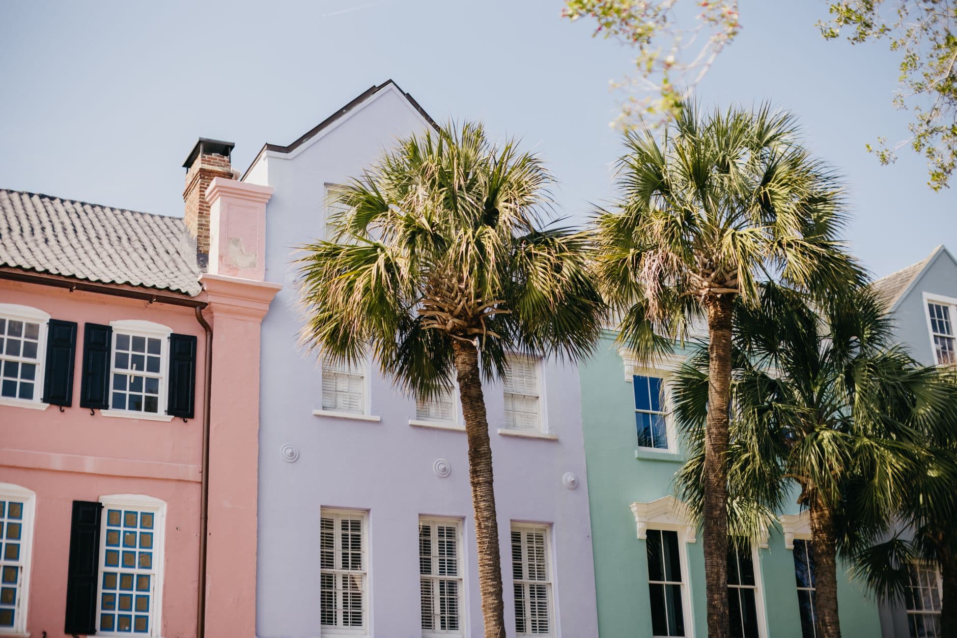 Colorful colonial-era buildings in pastel pink, lavender, and mint green with black shutters, flanked by palmetto trees, depicting the distinctive architectural character of Charleston's historic district. - Photo by Alyssa Rose on Pexels