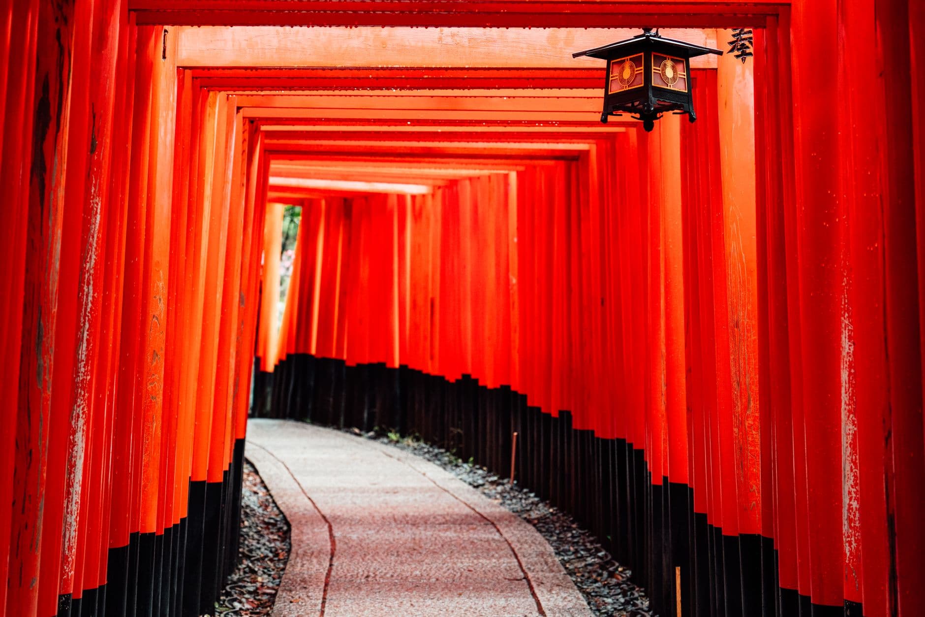A tunnel of vermillion torii gates at what appears to be a Shinto shrine in Kyoto, likely Fushimi Inari or a similar shrine, photographed looking down a pathway with traditional Japanese lanterns and railings. - Photo by G N on Pexels