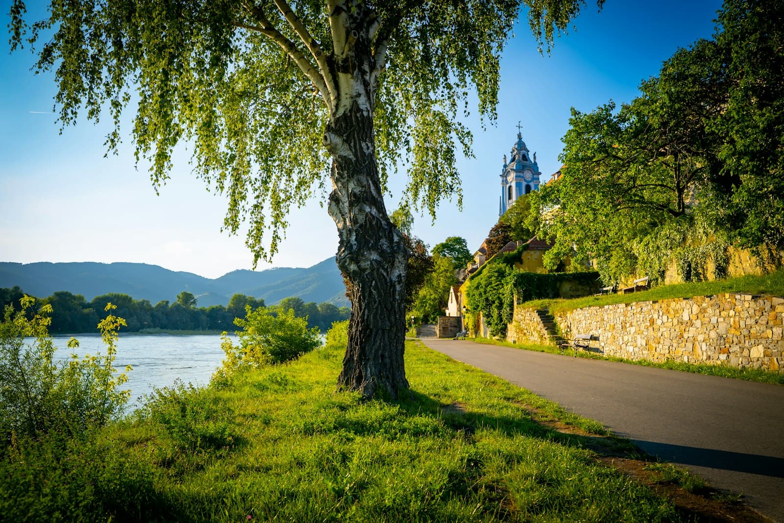 A scenic riverside path along the Danube with a mature birch tree in the foreground, stone village buildings, mountains in the background, and a church steeple visible in the distance. - Photo by Scorn Pion on Unsplash