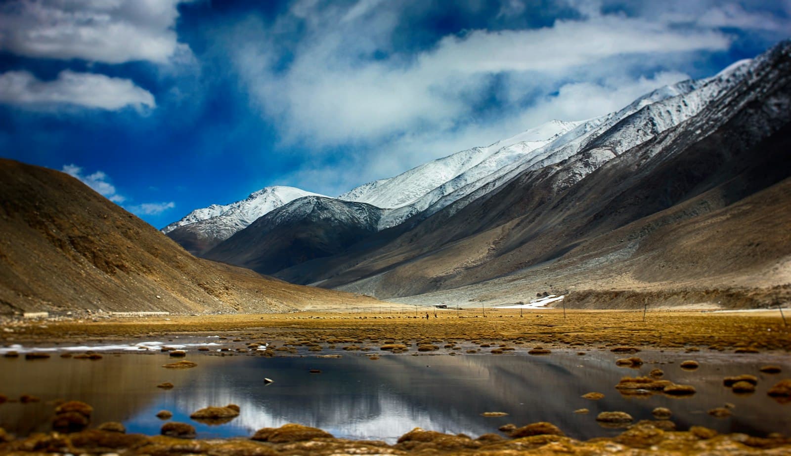 A high-altitude desert valley with snow-capped peaks, sparse grassland vegetation, a shallow stream in the foreground, and barren mountain slopes characteristic of the trans-Himalayan region. - Photo by Anuj Bansal on Unsplash