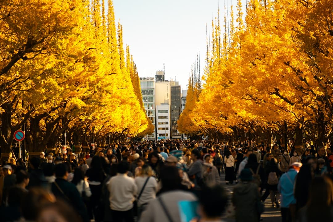 A crowded pedestrian avenue in Tokyo lined with brilliant golden ginkgo trees in autumn, with urban buildings visible in the background and crowds of people walking through the iconic tree-lined street. - Photo by Szymon Shields on Unsplash