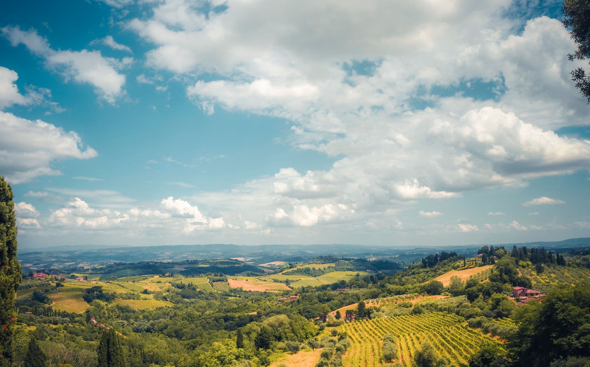 A panoramic landscape view of rolling Tuscan hills featuring cultivated vineyards, cypress tree rows, scattered farmhouses, and a patchwork of agricultural fields under a partly cloudy sky. - Photo by Ahmet AZAKLI on Pexels