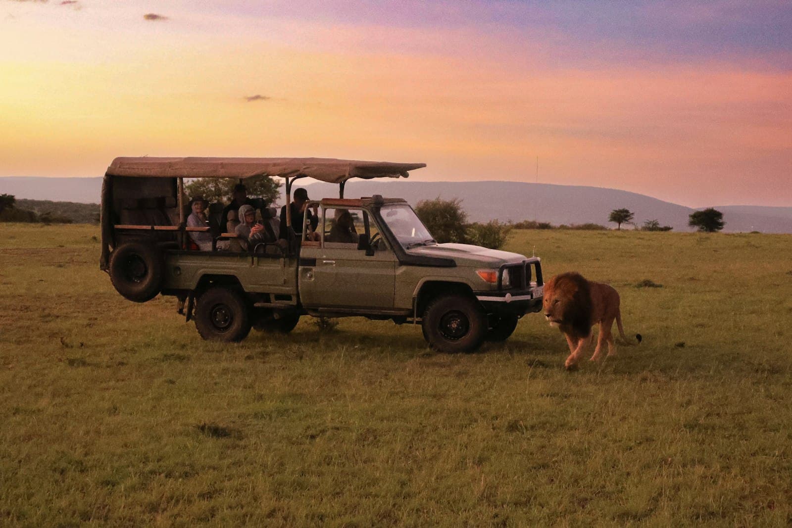 A safari game viewing vehicle with tourists under a canvas canopy encounters a male lion in open grassland during golden hour, with a mountain visible in the distance under a colorful sunset sky. - Photo by Meg von Haartman on Unsplash
