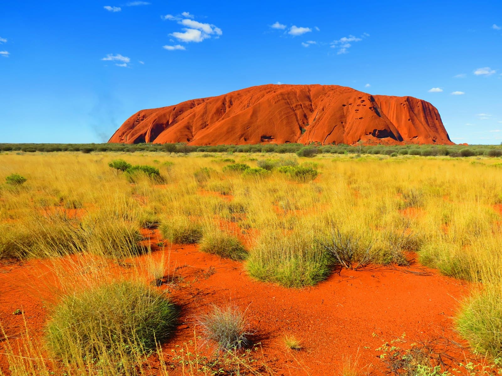Uluru rises dramatically from the spinifex-covered red desert floor under a clear blue sky, with the distinctive orange monolith dominating the landscape against golden grassland and red earth. - Photo by Michael Jerrard on Unsplash