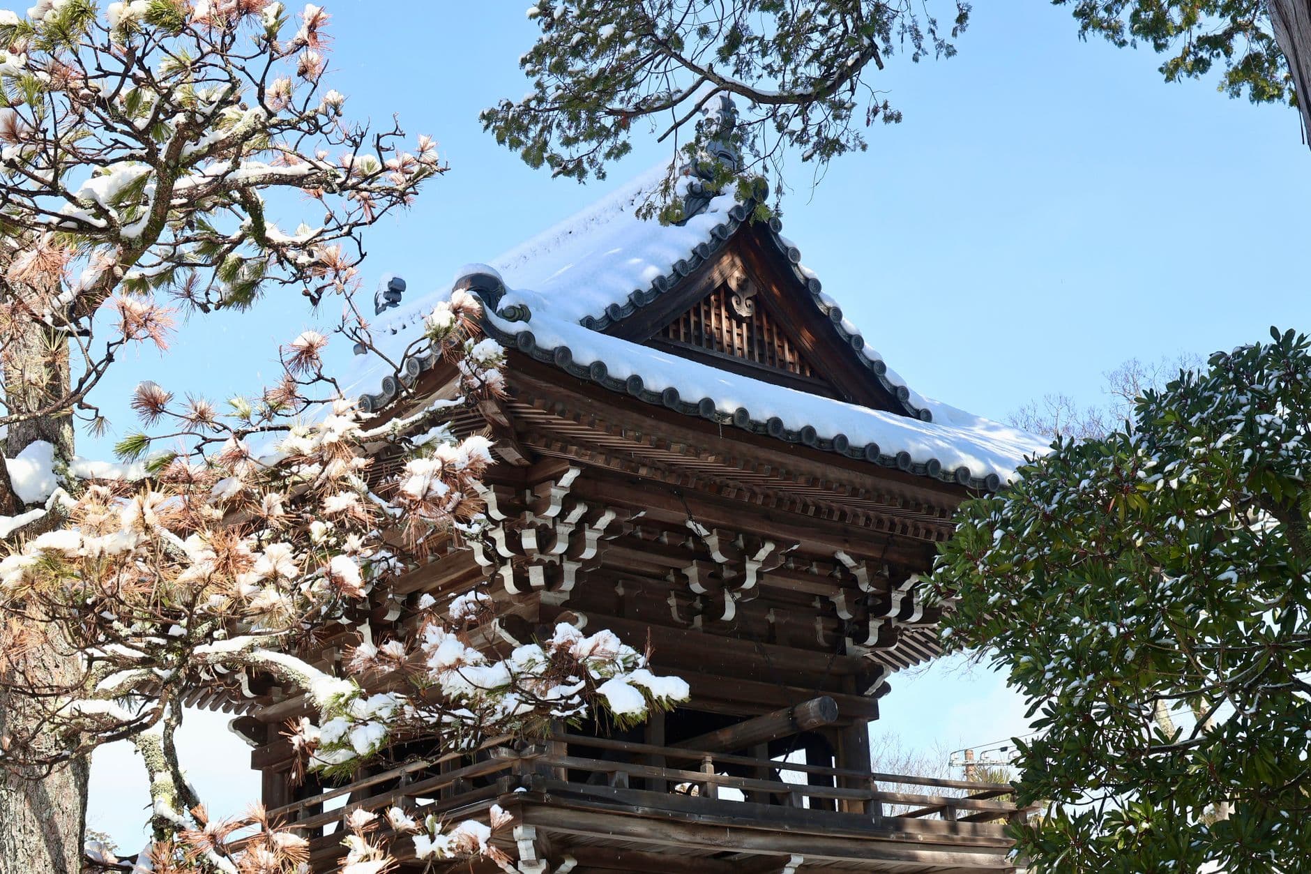 A snow-covered Japanese temple with distinctive curved eaves and dark wooden architecture, framed by frost-laden flowering branches and evergreen vegetation in winter. - Photo by Ming He on Pexels