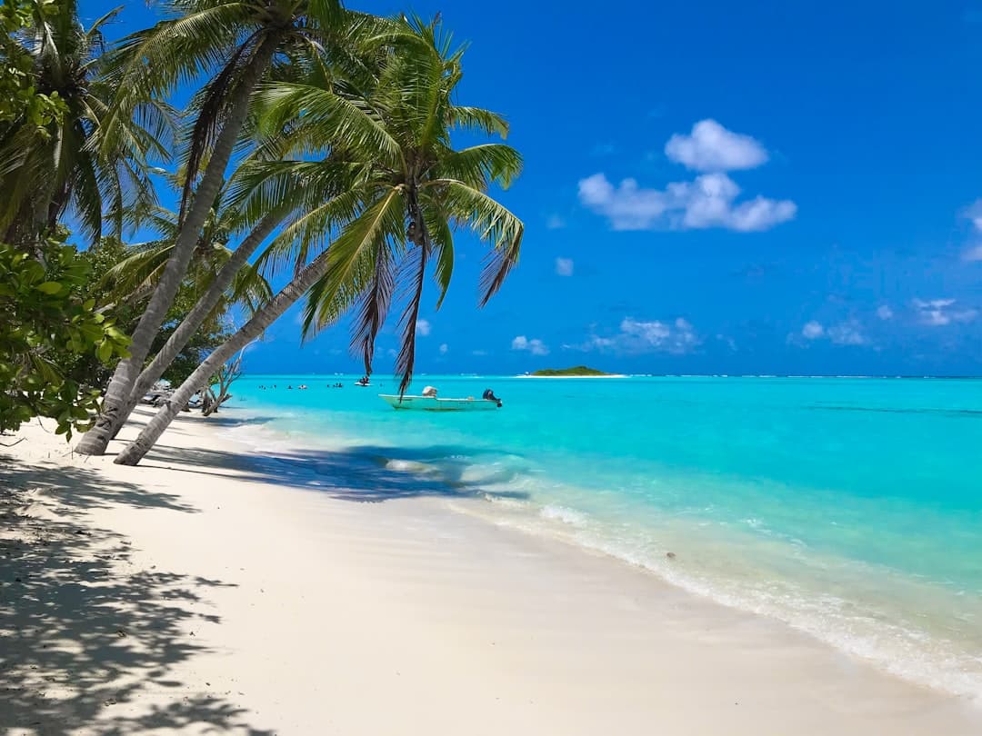 A pristine tropical beach with overhanging coconut palms, white sand, and clear turquoise water typical of a Maldivian atoll, with a small island visible across the lagoon. - Photo by Ittemaldiviano 🇲🇻 on Unsplash