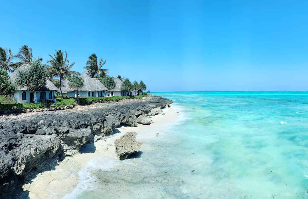 A pristine tropical beach resort with traditional thatch-roofed bungalows featuring blue doors along a rocky limestone shore, with turquoise shallow waters and white sand coves typical of Zanzibar's northern coastline. - Photo by Med J on Unsplash