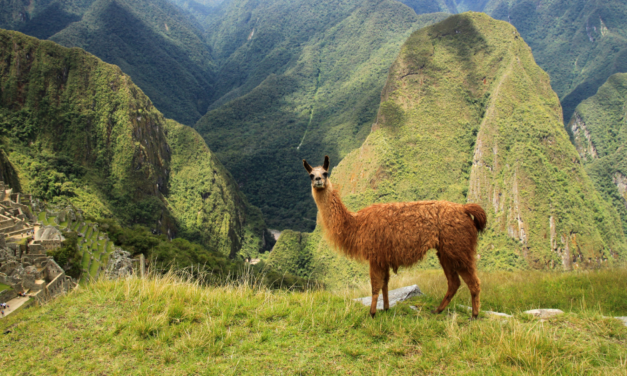 5 Best Countries for Tourism in South America